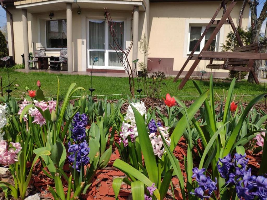 um jardim de flores em frente a uma casa em Pod Skrzydłami Podlasia em Siemiatycze