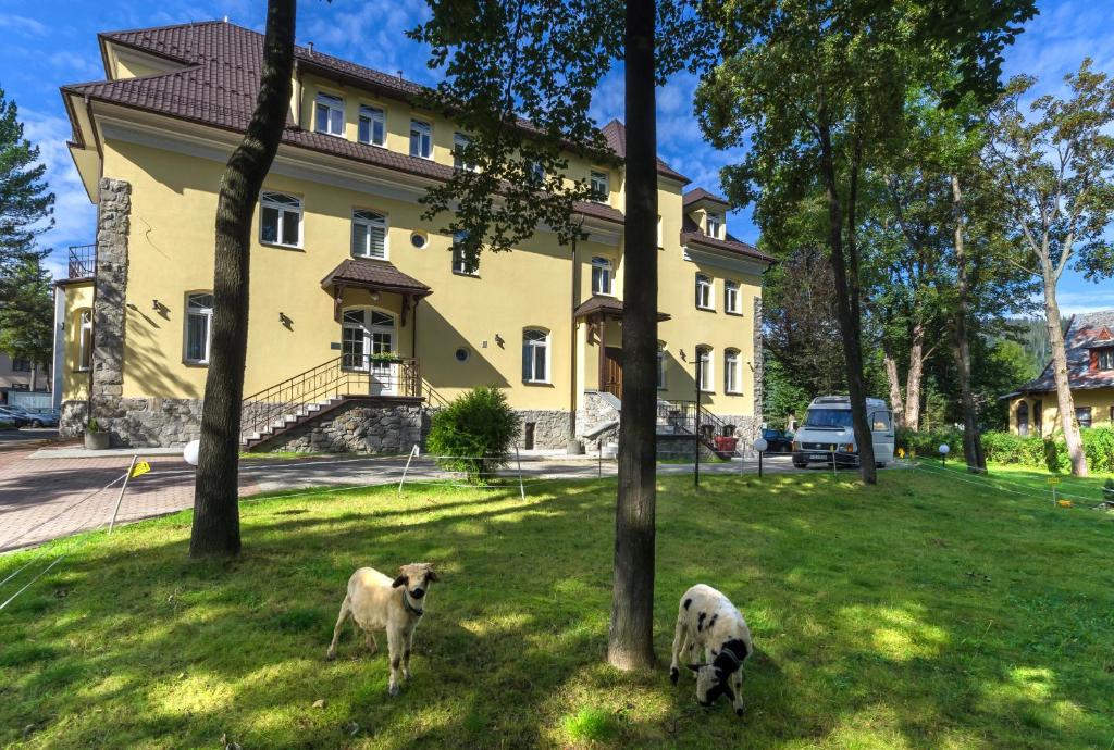 Domáce zviera alebo zvieratá hostí v ubytovaní Halny Pensjonat