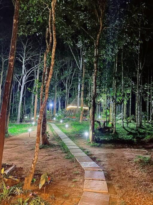 a path in a forest at night with lights at TreeSong Villa - Tranquil Forest Villa in Wayanad in Sultan Bathery