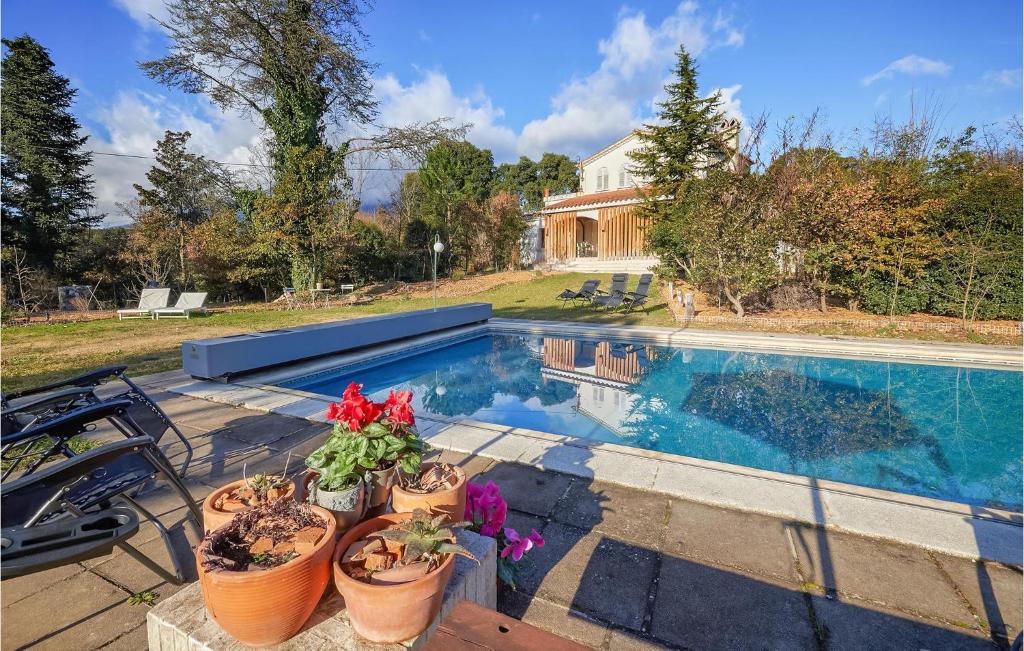 a swimming pool with potted plants next to a house at Pet Friendly Home In Breda With Kitchen in Breda