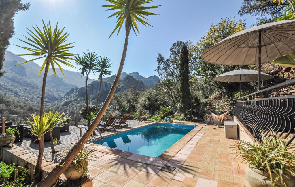 une piscine avec des palmiers et une vue sur les montagnes dans l'établissement Belle Maison En Pleine Nature, à Fréjus