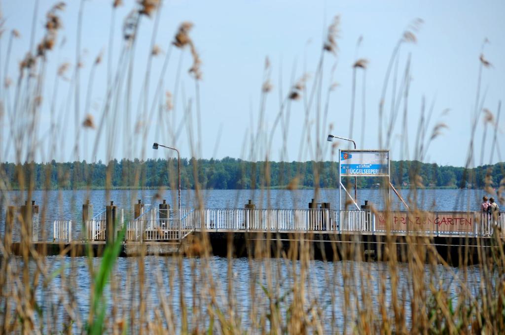 Příroda nedaleko hotelu