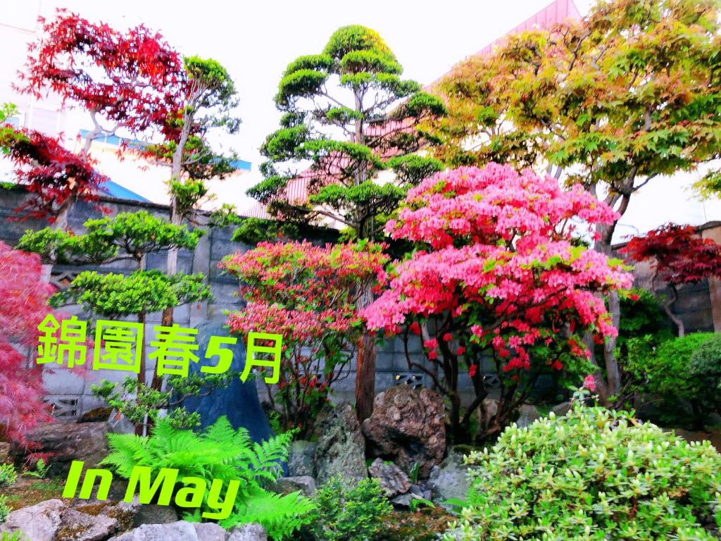 小樽的住宿－小樽錦園，可能在种有粉红色树木的花园中读到的标志