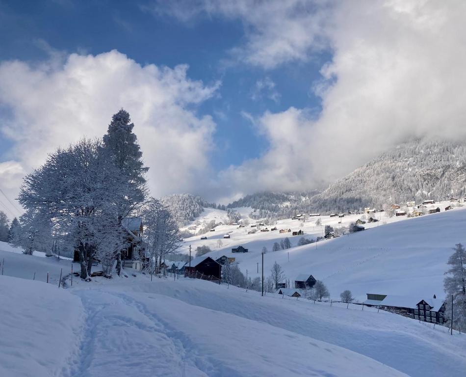 Ferienwohnung Haus am Bach in Toggenburg v zimě