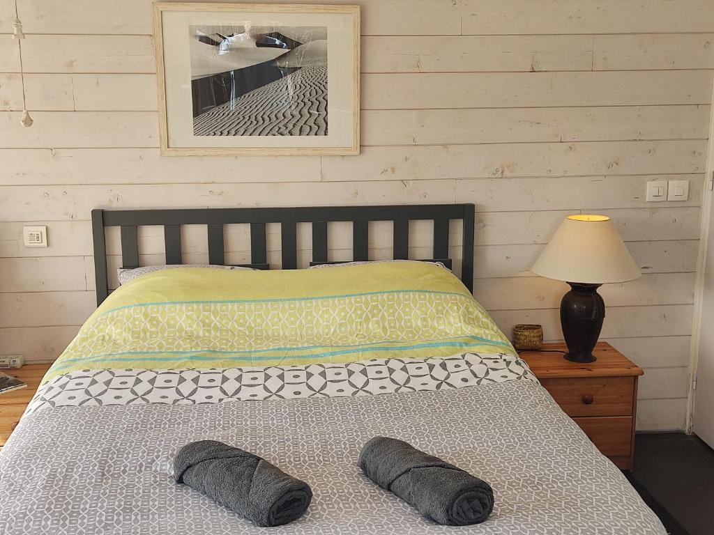 una camera da letto con un letto con due cuscini sopra di Chez Daniel & Catherine a La Chevrolière