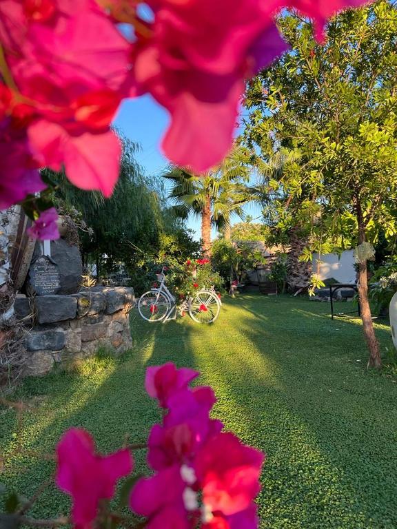 La Capanna di Giuseppe e Maria - 6