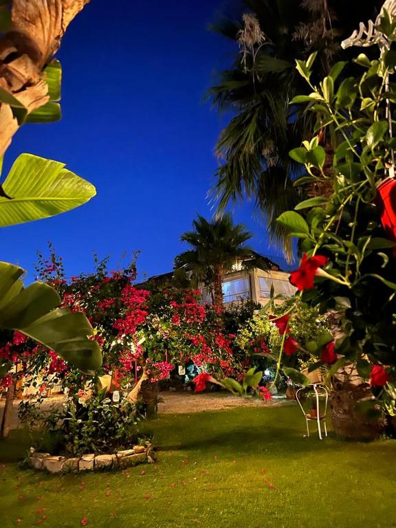 La Capanna di Giuseppe e Maria - 5