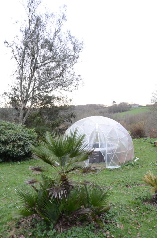 a greenhouse in a field with a palm tree at Gîte 3 pers Jacuzzi extérieur sous bulle, possibilité table d&#39;hôtes le soir in Tréduder