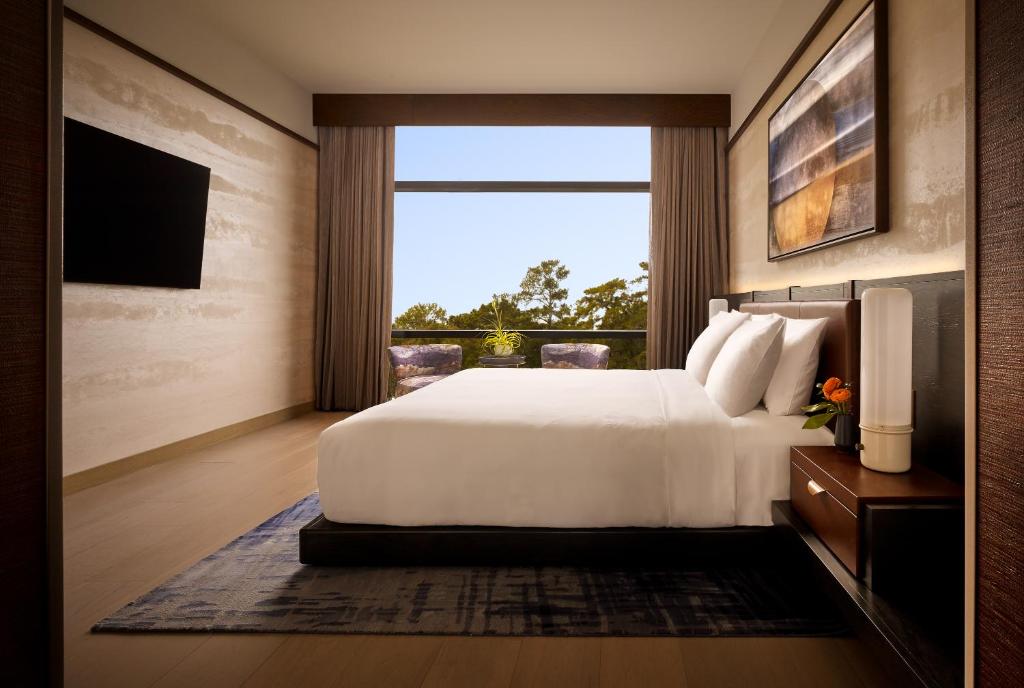 Nobu Hotel Atlanta - デラックススタジオ