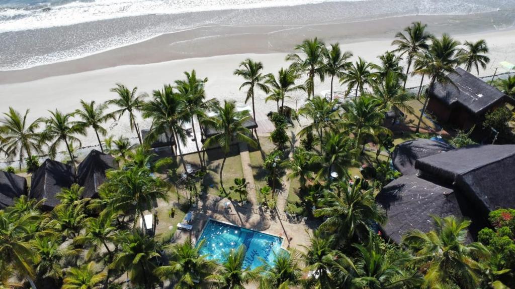 een luchtzicht op een strand met palmbomen bij Indaiá Eco Village in Ilhéus