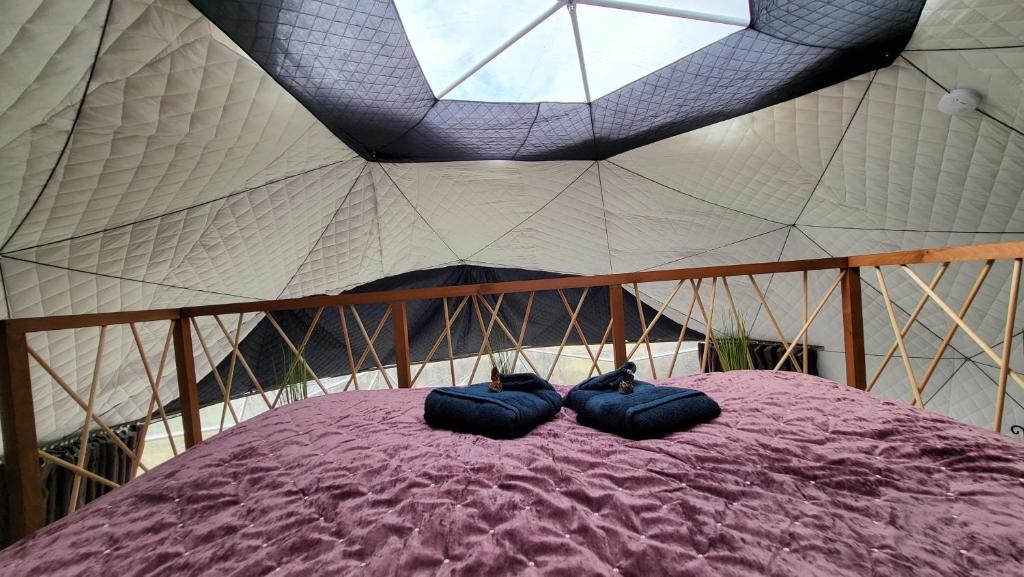 Fotografie z fotogalerie ubytování Mecsek Szíve Glamping v destinaci Magyarszék