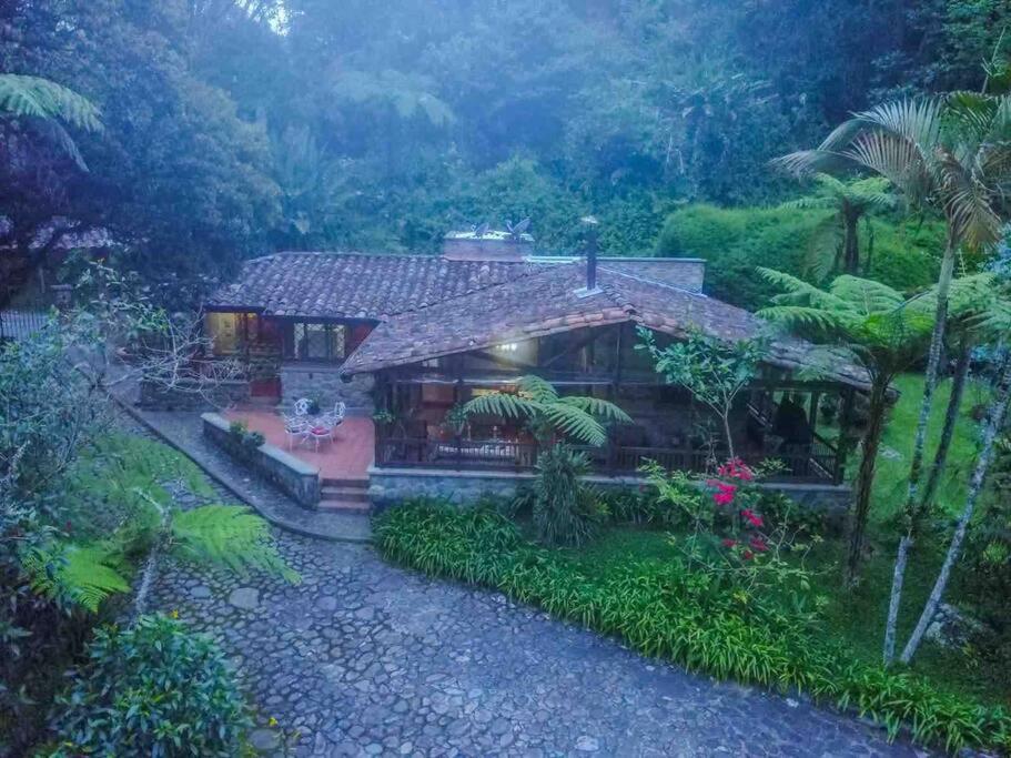 薩蘭托的住宿－Finca Punta de Piedra Salento, Quindio，森林中的房子