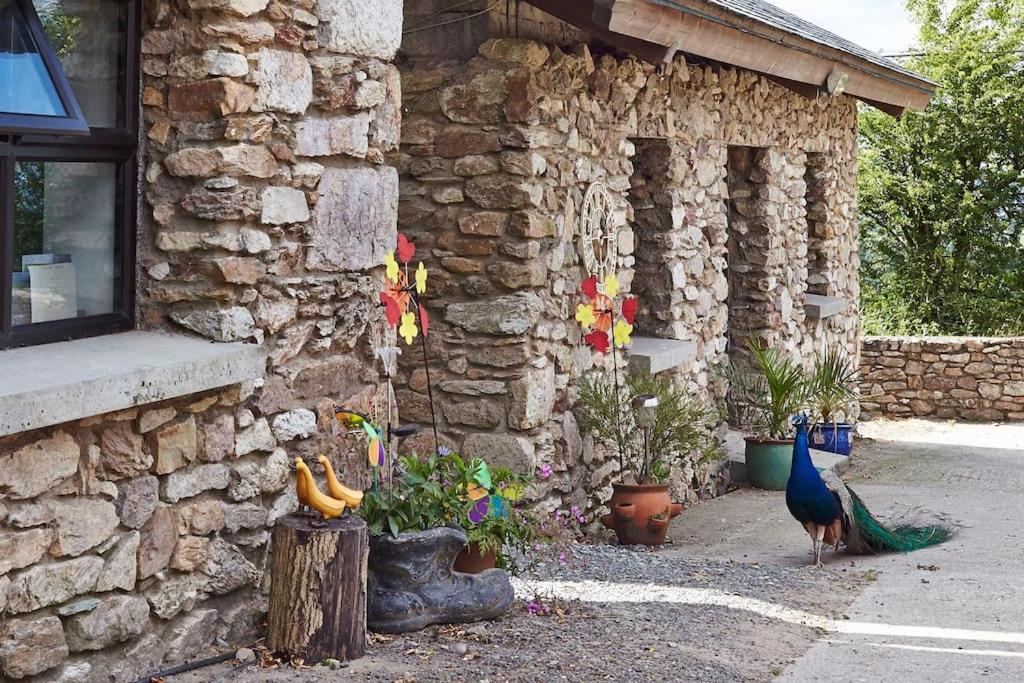 un pavo real parado frente a un edificio de piedra en Kingsford renovated old cottage en Wexford