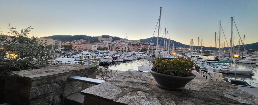 Príroda v okolí apartmánu