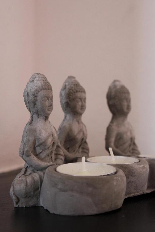 Zen Museu do Bonsai, Sintra – Updated 2023 Prices