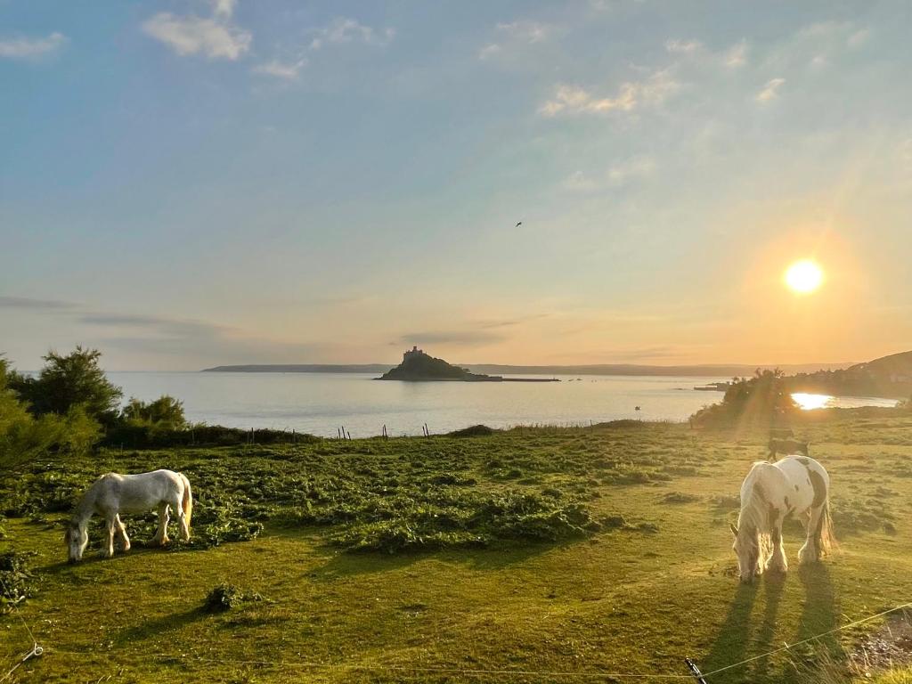 two white horses grazing in a field at sunset at The Tidal Shore - Adults Only - in Marazion