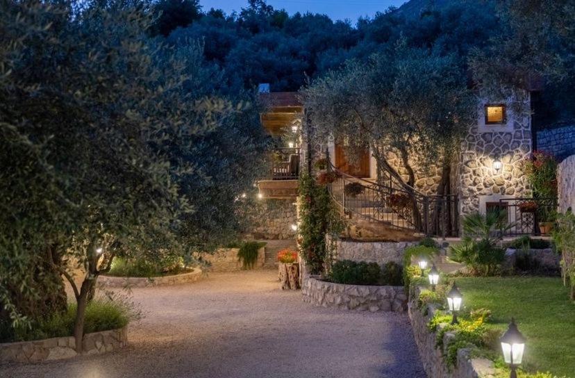 Zahrada ubytování OLIVE QUEEN Rustic Estate