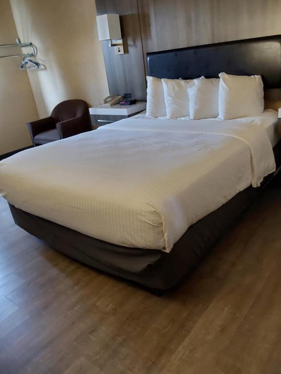 Postel nebo postele na pokoji v ubytování Lavissh inn and Suites
