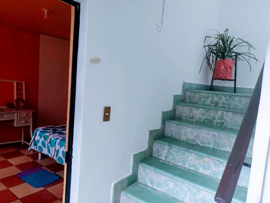 Casa El Colibrí CEC - 双室