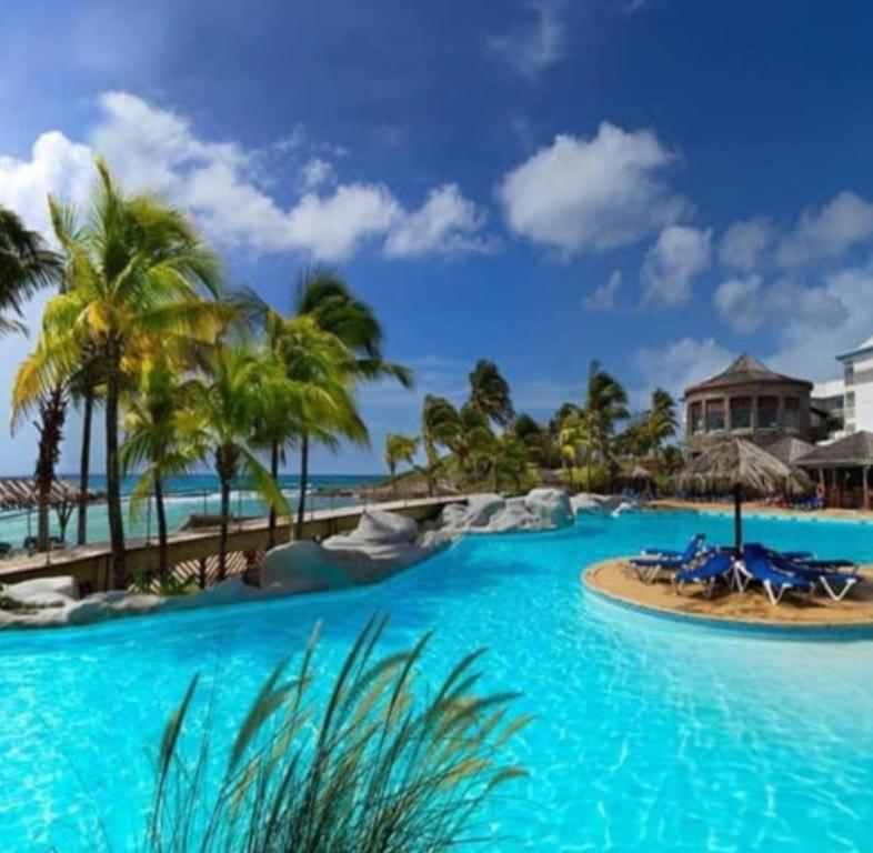una piscina presso il resort con palme e sedie di L hibiscus a Saint-François