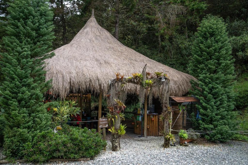 Zahrada ubytování BubbleSky Glamping 40 min from Medellin