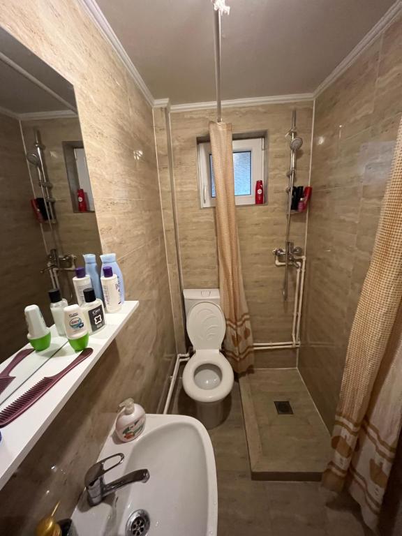 a bathroom with a toilet and a shower and a sink at Cabana Huta Sinteu in Şinteu