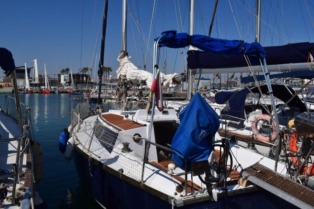 un barco atracado en un puerto deportivo en el agua en Velero en Puerto de Valencia - E&M Boats, en Valencia