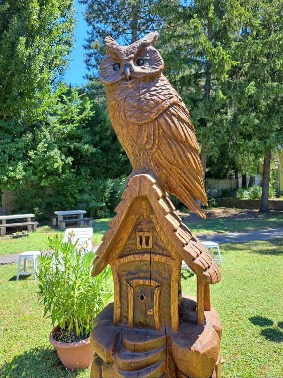 Zahrada ubytování Balaton Panzió