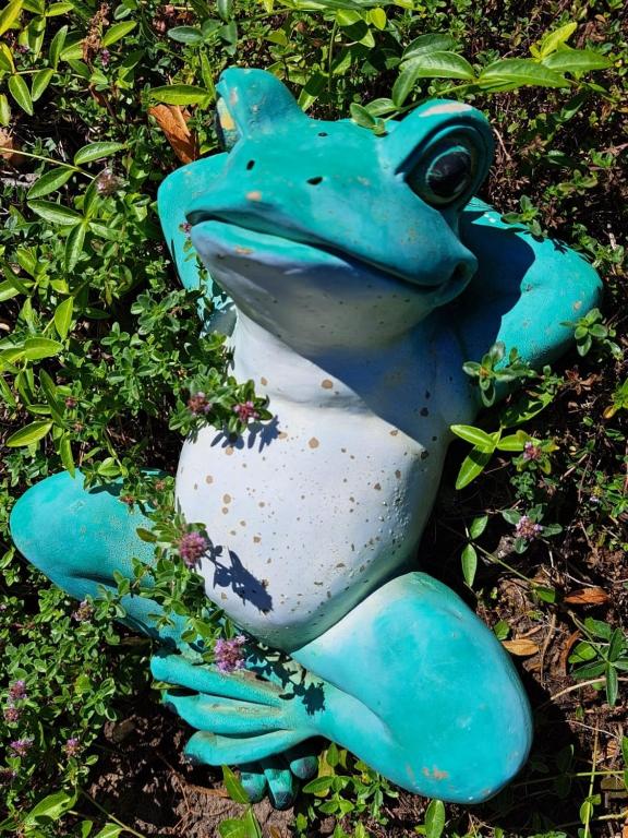 Fotografie z fotogalerie ubytování Balaton Panzió v Siofoku