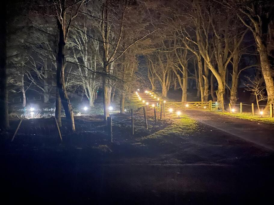 a park at night with lights in the trees at West Loch Farm Bothy in Peebles