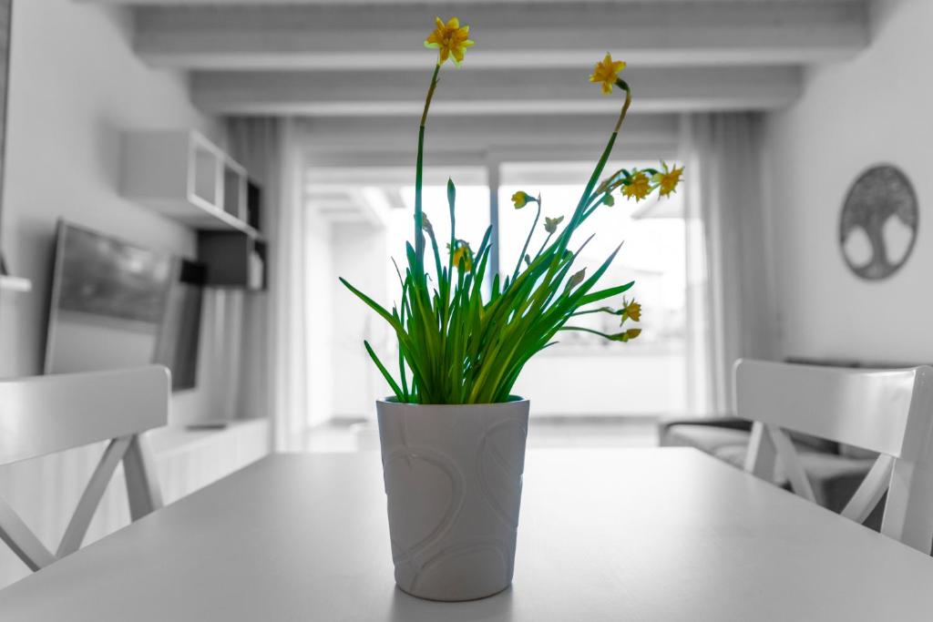 Verona Urban Apartment - 3