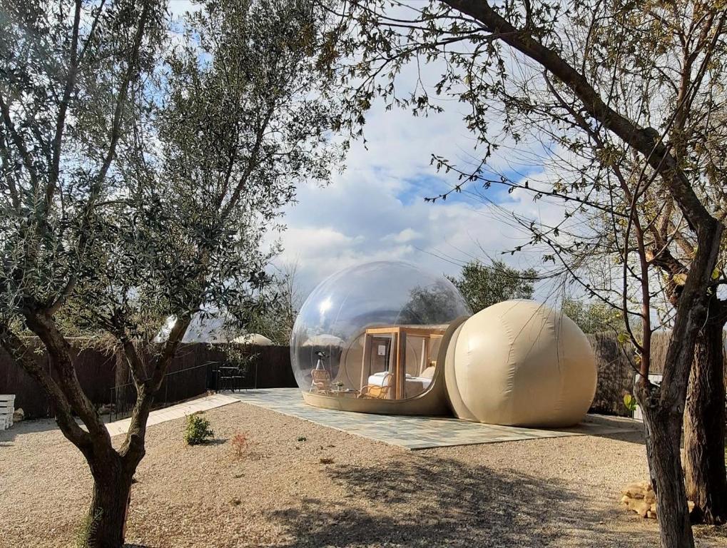 Zielo de Levante, Tirig – Updated 2023 Prices