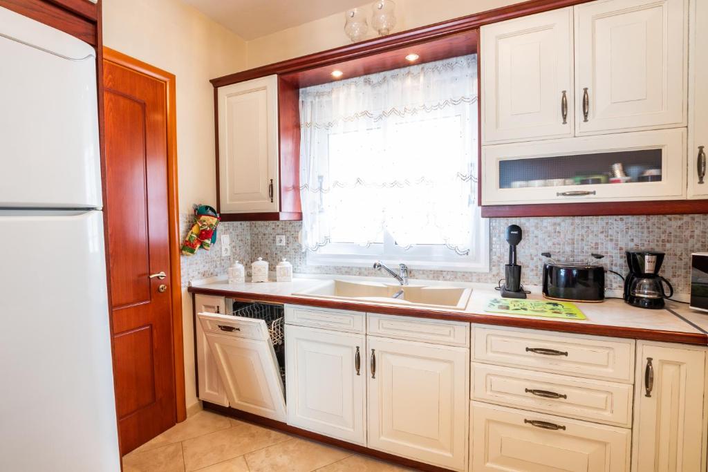 Kuchyň nebo kuchyňský kout v ubytování Evdoxia's apartment