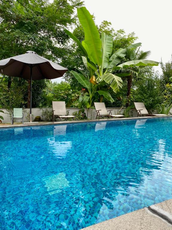 Πισίνα στο ή κοντά στο Guest House Botanical Paradise