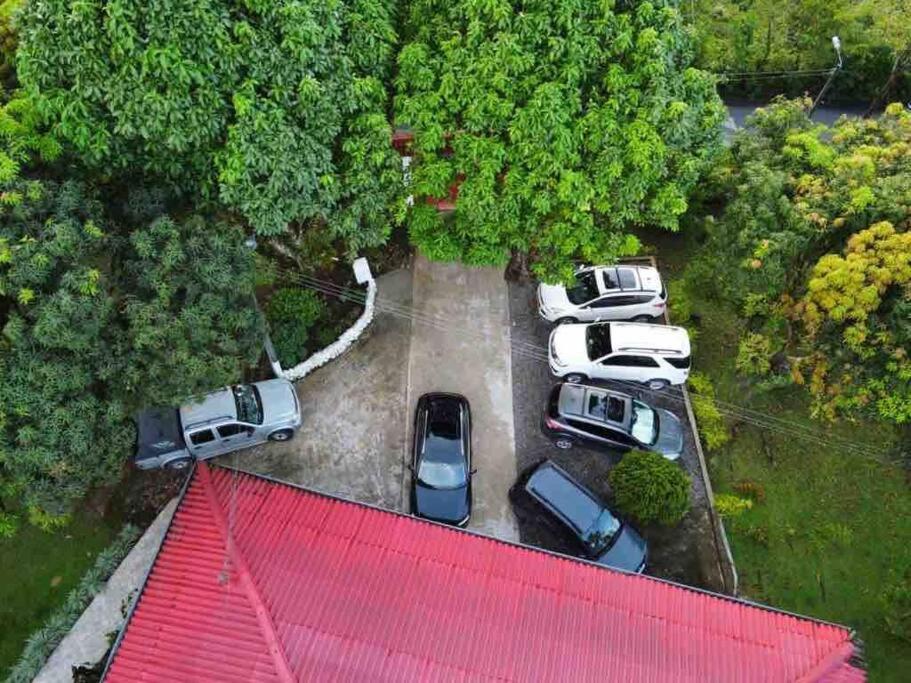 Zahrada ubytování FINCA EL PORVENIR