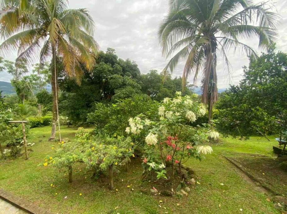 Zahrada ubytování FINCA EL PORVENIR