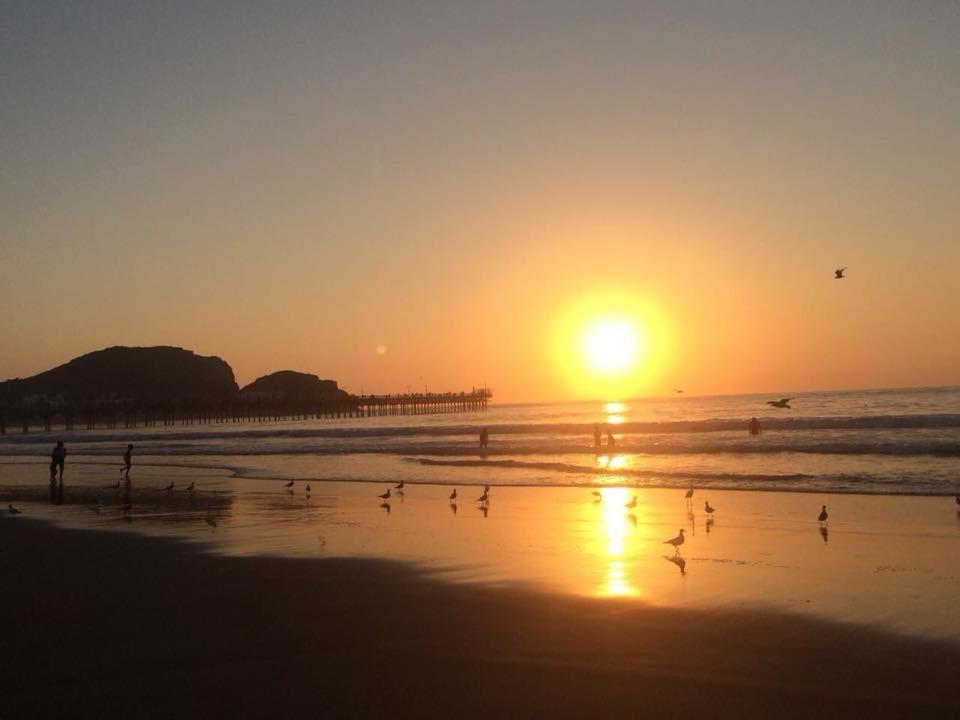 um grupo de pássaros na praia ao pôr do sol em Departamentos Cerro Azul P1 em Cerro Azul