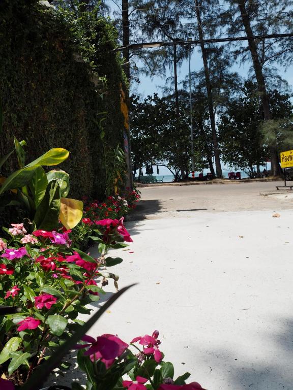 Hofte Stevenson Jeg klager Pakmeng Beach Resort, Pak Meng – Updated 2023 Prices