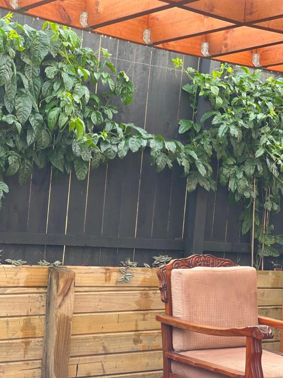 Auckland One Tree Hill Coby Suite - Resim 34