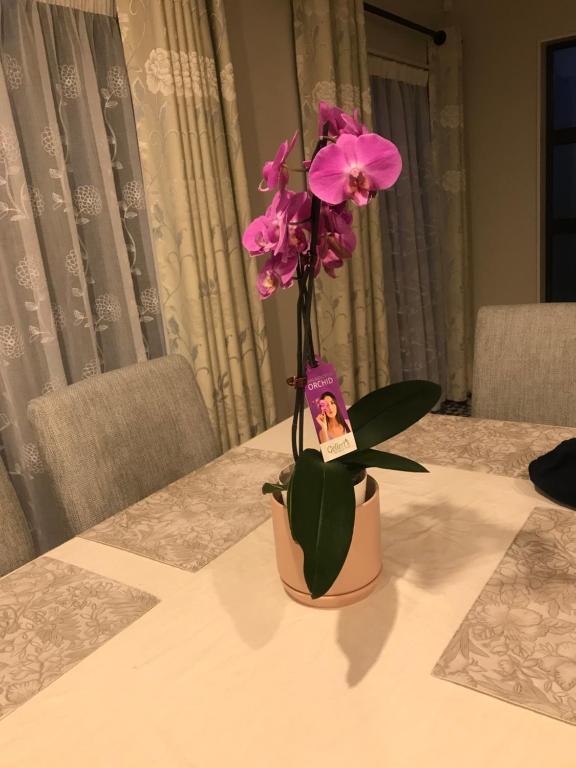 Auckland One Tree Hill Coby Suite - Resim 24