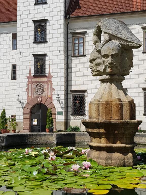 Zahrada ubytování Modrá růže Třeboň