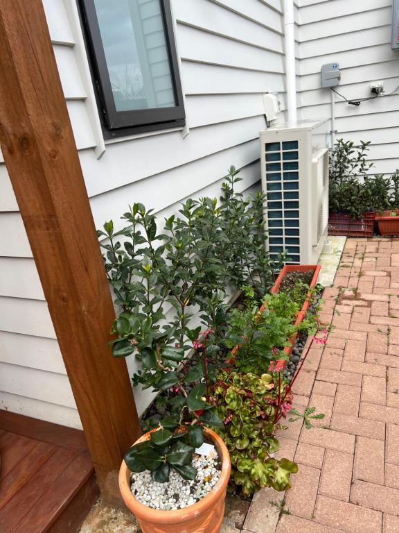 Auckland One Tree Hill Coby Suite - Resim 31