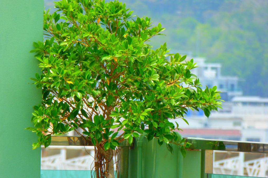 Add Plus Hotel & SPA - Resim 37