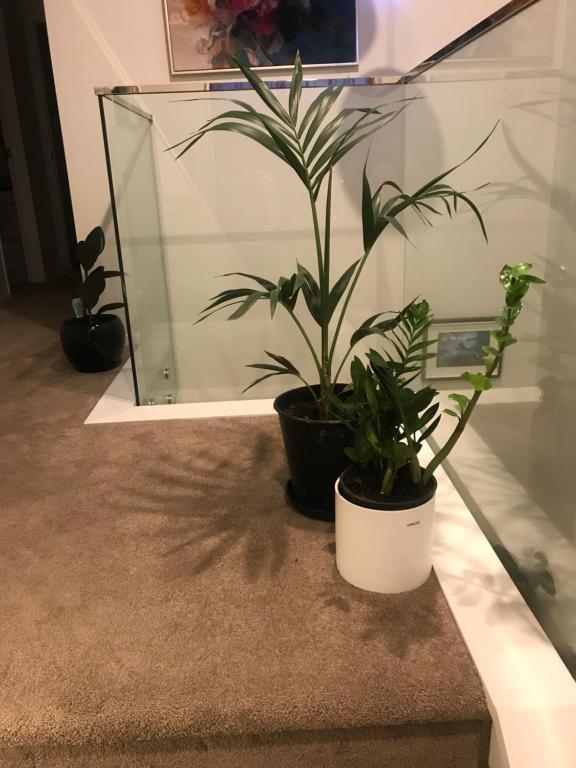 Auckland One Tree Hill Coby Suite - Resim 25