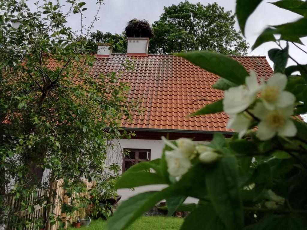 uma casa com um telhado vermelho e algumas flores em Żywkowo Bocianie Gospodarstwo Rolne em Górowo Iławeckie