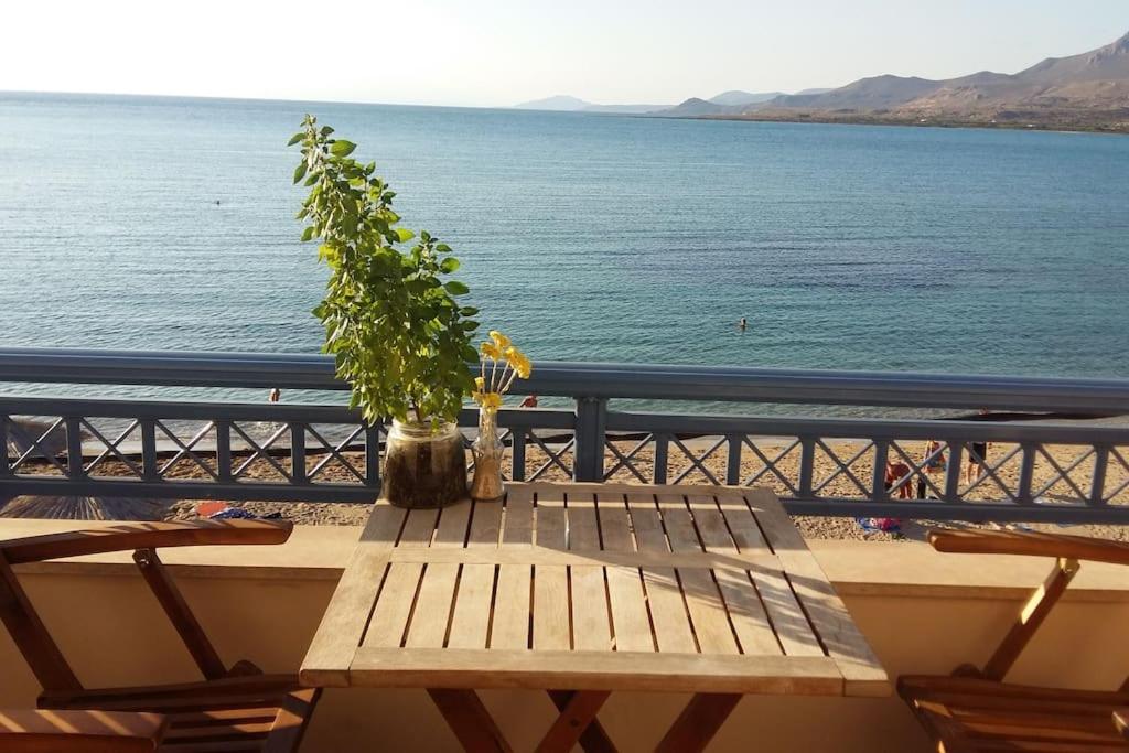 einen Holztisch mit einer Topfpflanze auf einem Balkon mit Meerblick in der Unterkunft Almiriki in Elafonisos