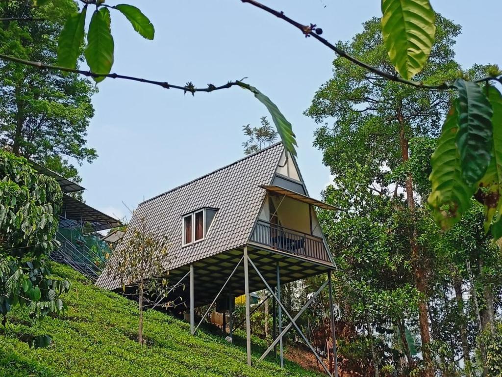 Zahrada ubytování Vythiri Stream View