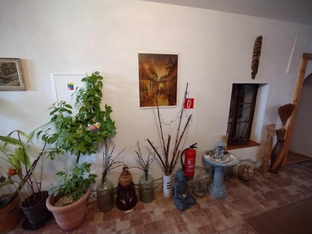 Fotografie z fotogalerie ubytování Penzión Evka v Popradu