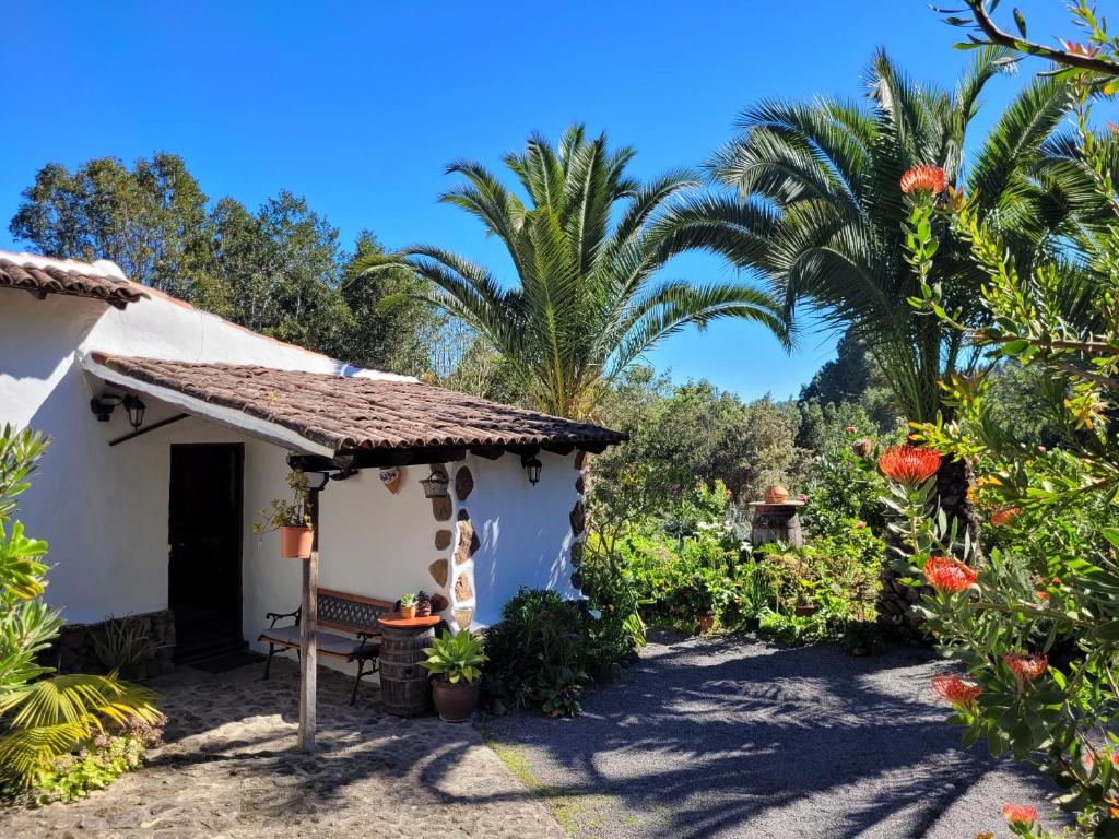 a cottage with a palm tree and a bench at Finca Llano de la cebolla in Icod de los Vinos