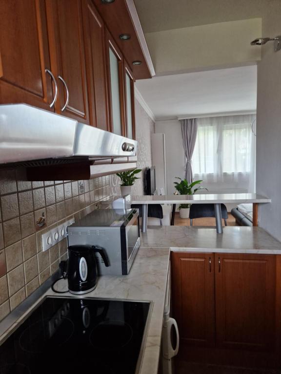 a kitchen with a counter top with a microwave at Orchidea Apartman in Gödöllő